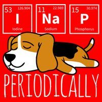 Funny Science I Nap Periodic Table Meme Meh Beagle Dog Gift Santa Hat thumb 1