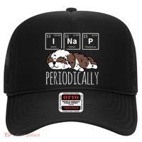 Funny Science I NAP Periodic Table Meme Meh Shih Tzu Dog Hat thumb 0