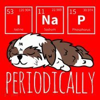 Funny Science I NAP Periodic Table Meme Meh Shih Tzu Dog Santa Hat thumb 1
