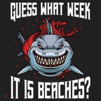 Funny Shark Joke Guess What Week It Is Sarcastic Party Beach Gift Beanie thumb 2