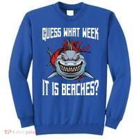 Funny Shark Joke Guess What Week It Is Sarcastic Party Beach Gift Sweatshirt thumb 0
