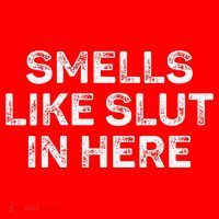 Funny Smells Like Slut In Here Offensive Adult Humor Santa Hat thumb 1