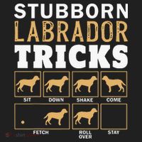 Funny Stubborn Labrador Retriever Dog Tricks Black Lab Gifts Tumbler thumb 3