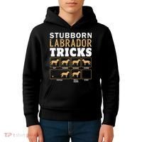 Funny Stubborn Labrador Retriever Dog Tricks Black Lab Gifts Kids Hoodie thumb 4
