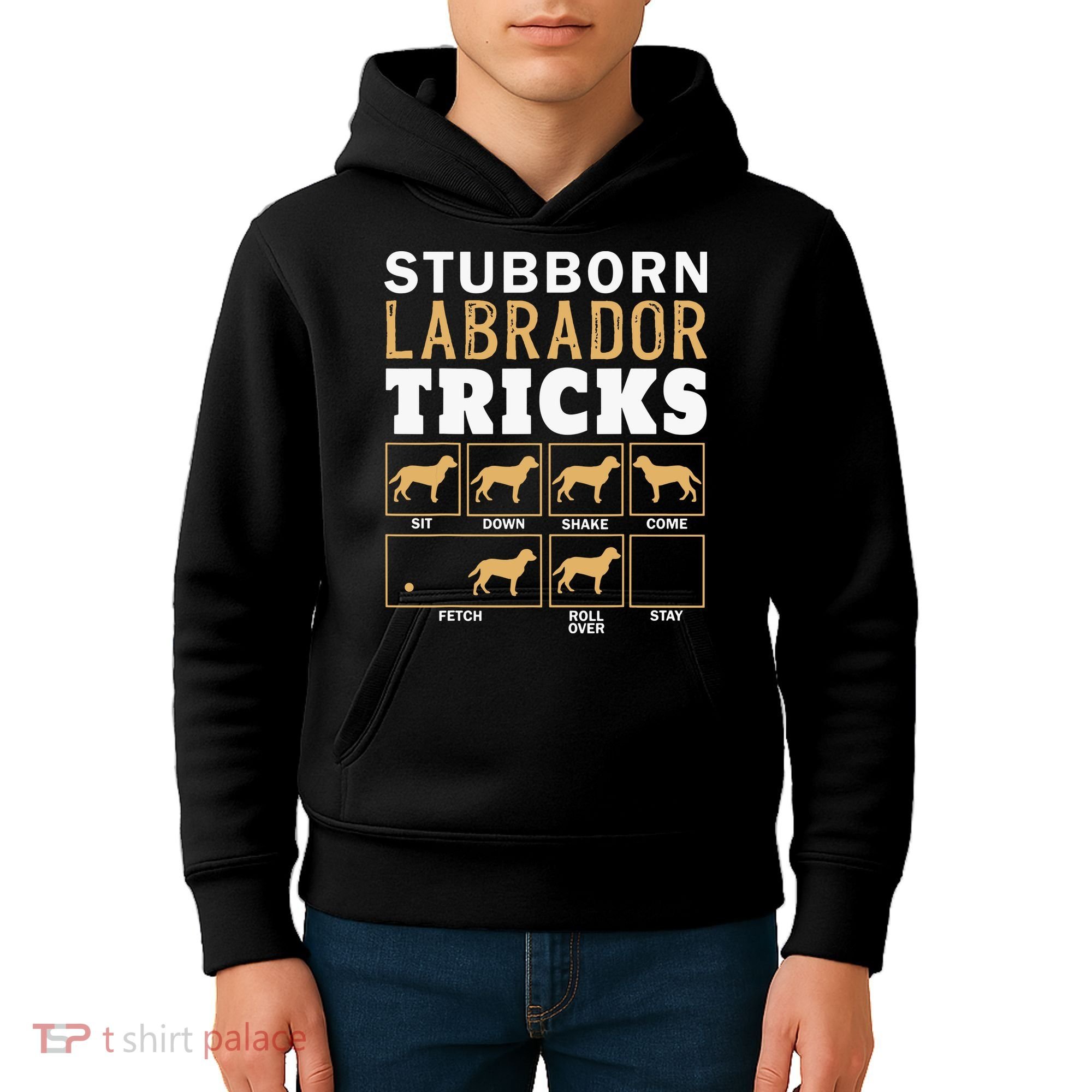 Funny Stubborn Labrador Retriever Dog Tricks Black Lab Gifts Kids Hoodie