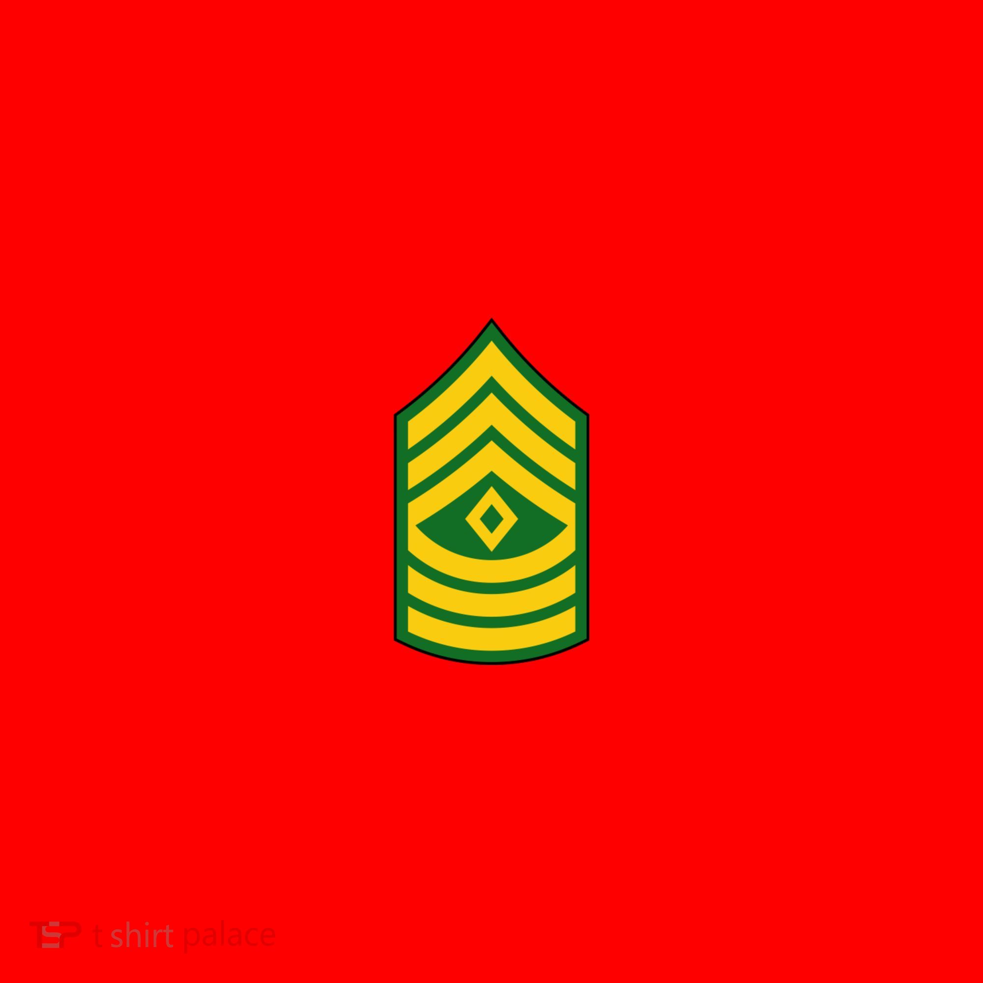 First Sergeant Military Badge Santa Hat