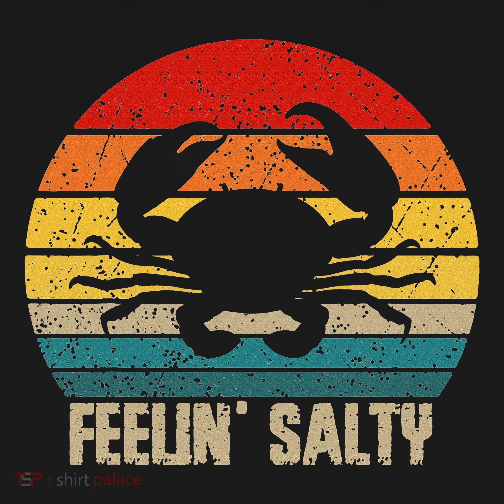 Feelin Salty Maryland Crab Sunset Graphic Women's Hoodie