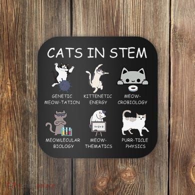 Funny Science Meme Cats In Stem Scientist Nerd Cat Lover Coaster