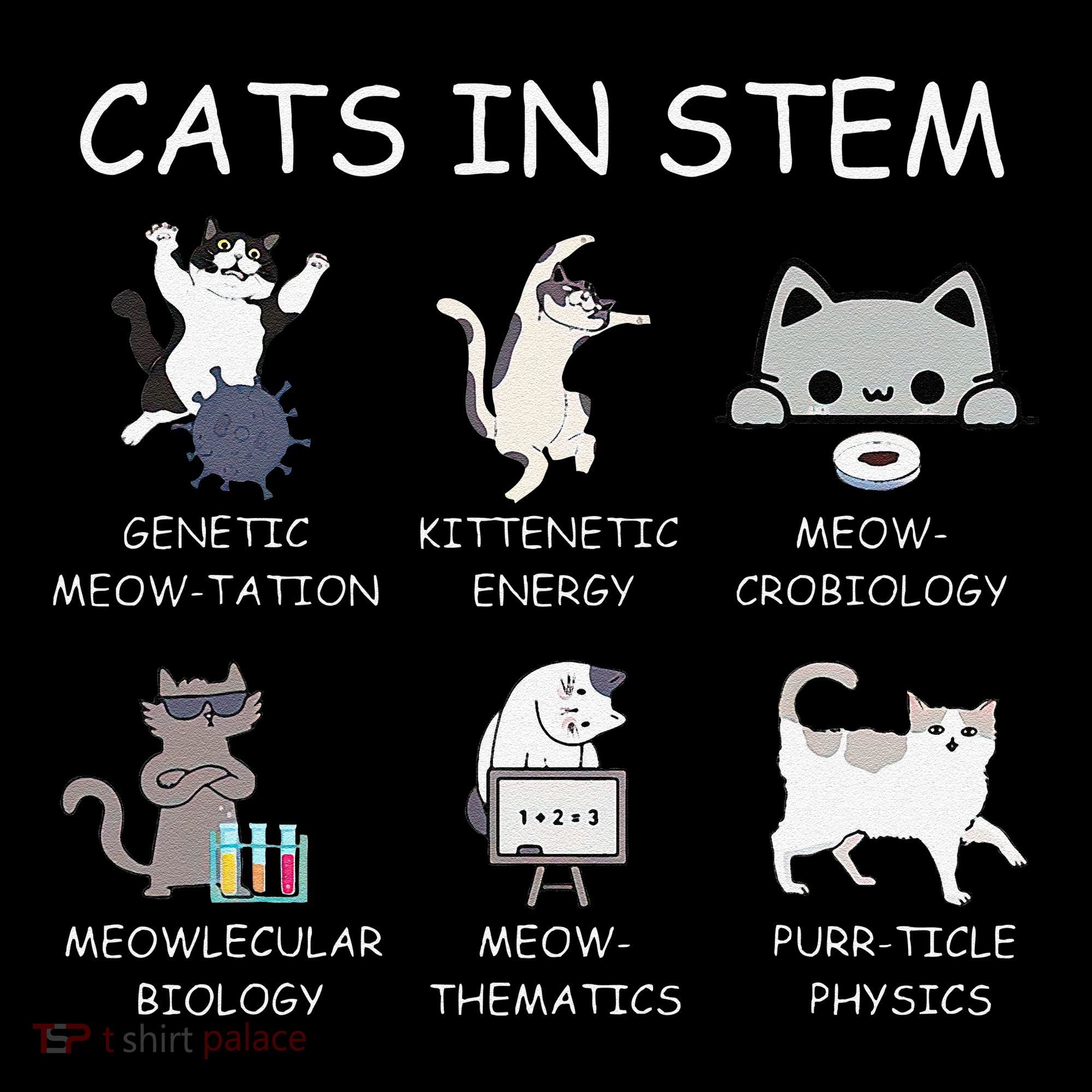 Funny Science Meme Cats In Stem Scientist Nerd Cat Lover Women's T-Shirt