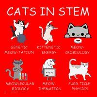 Funny Science Meme Cats In Stem Scientist Nerd Cat Lover Santa Hat thumb 1