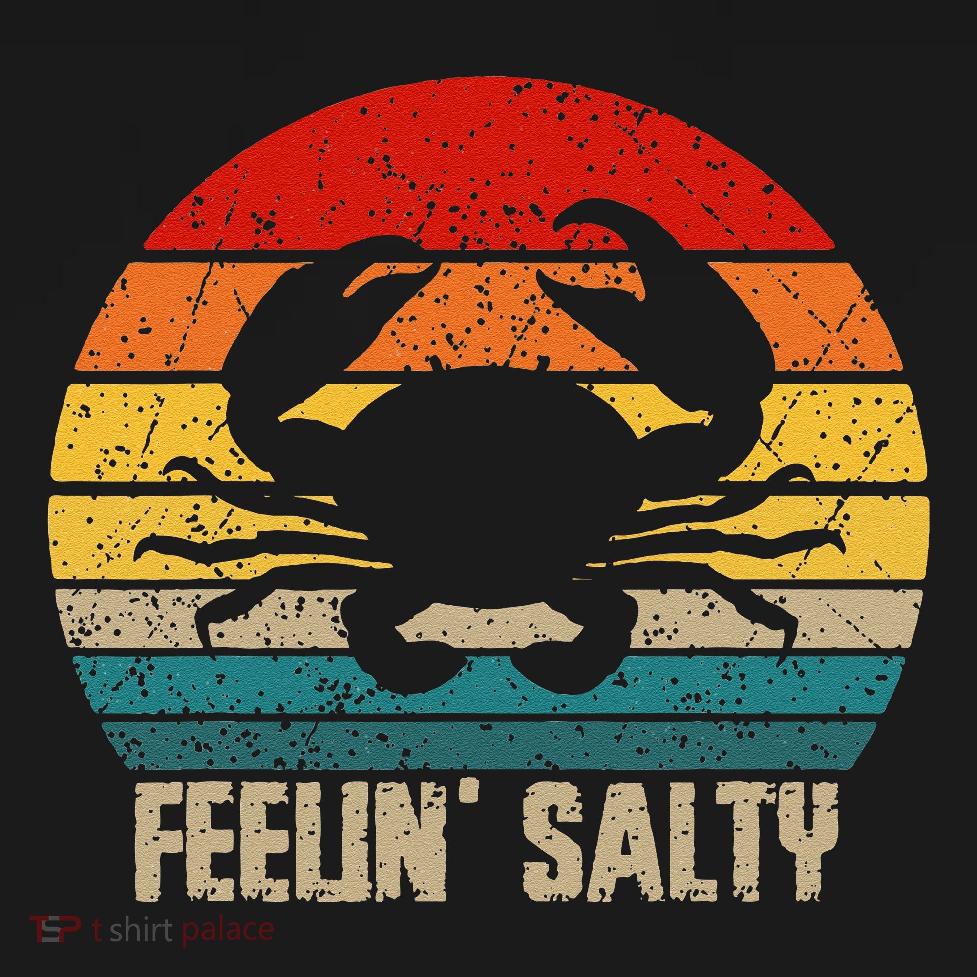 Feelin Salty Maryland Crab Sunset Graphic Women's Hoodie