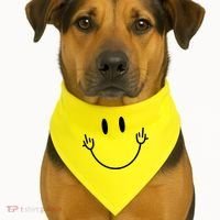 Funny Smiley Middle Finger Smile Face USA-Made Doggie Bandana thumb 1