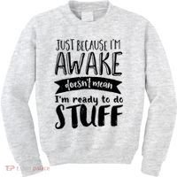 Funny Sarcastic Not A Morning Person Hate Waking Up  Kids Sweatshirt thumb 0