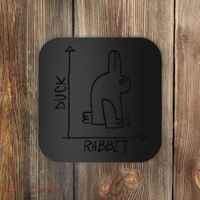 Funny Science Nerd Duck Rabbit Physics Math Geek Coaster