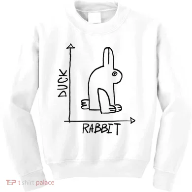 Funny Science Nerd Duck Rabbit Physics Math Geek Kids Sweatshirt