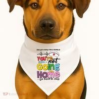 Funny School Nurse YouRe Not Going Home USA-Made Doggie Bandana thumb 1