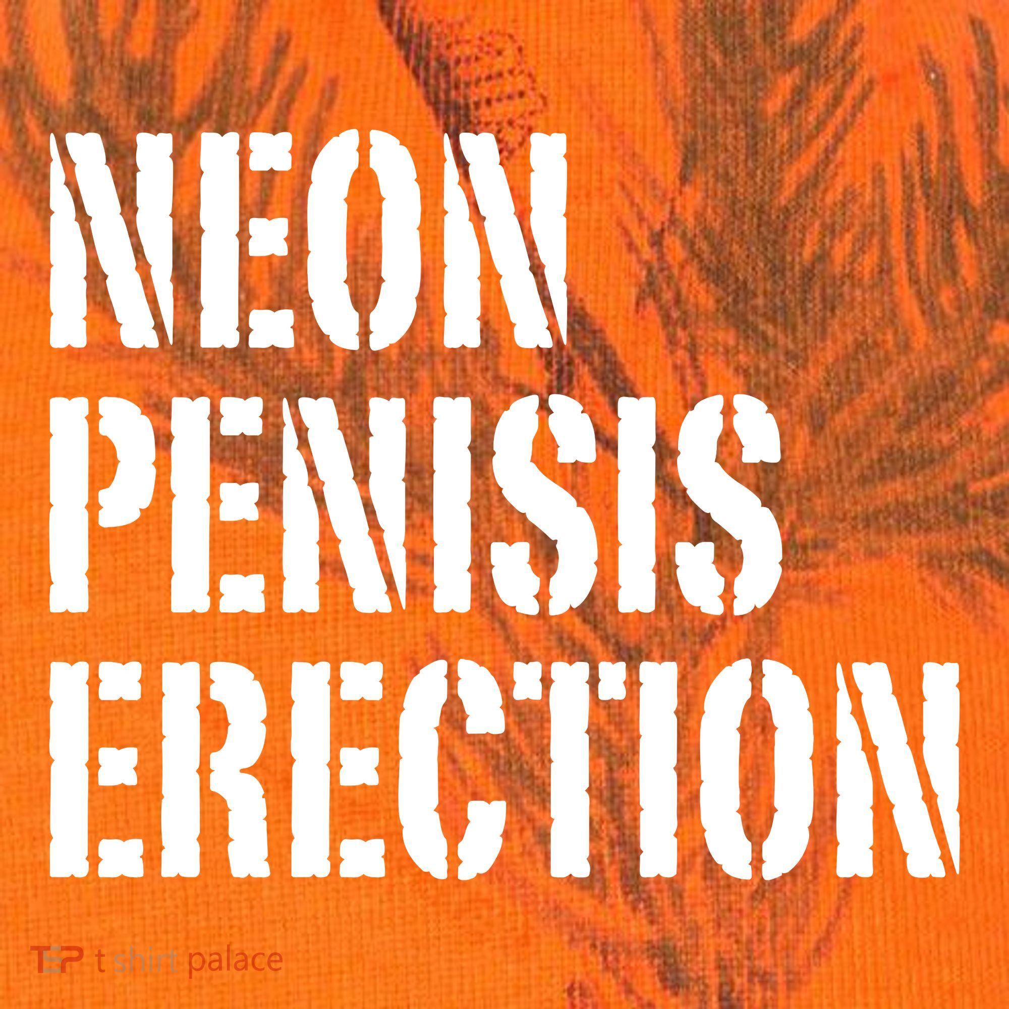 Funny Saying Neon Penisis Erection Kati Licensed 12" Camo Cuffed Beanie