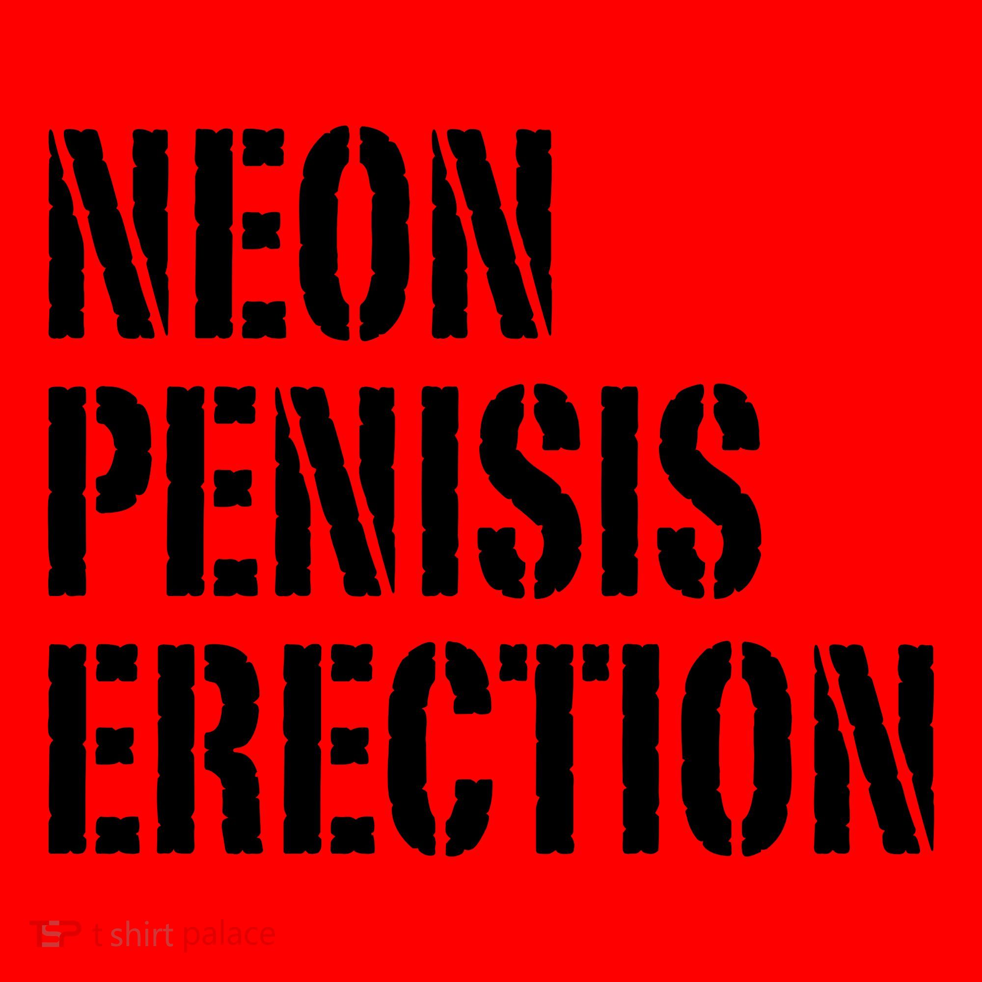 Funny Saying Neon Penisis Erection Santa Hat
