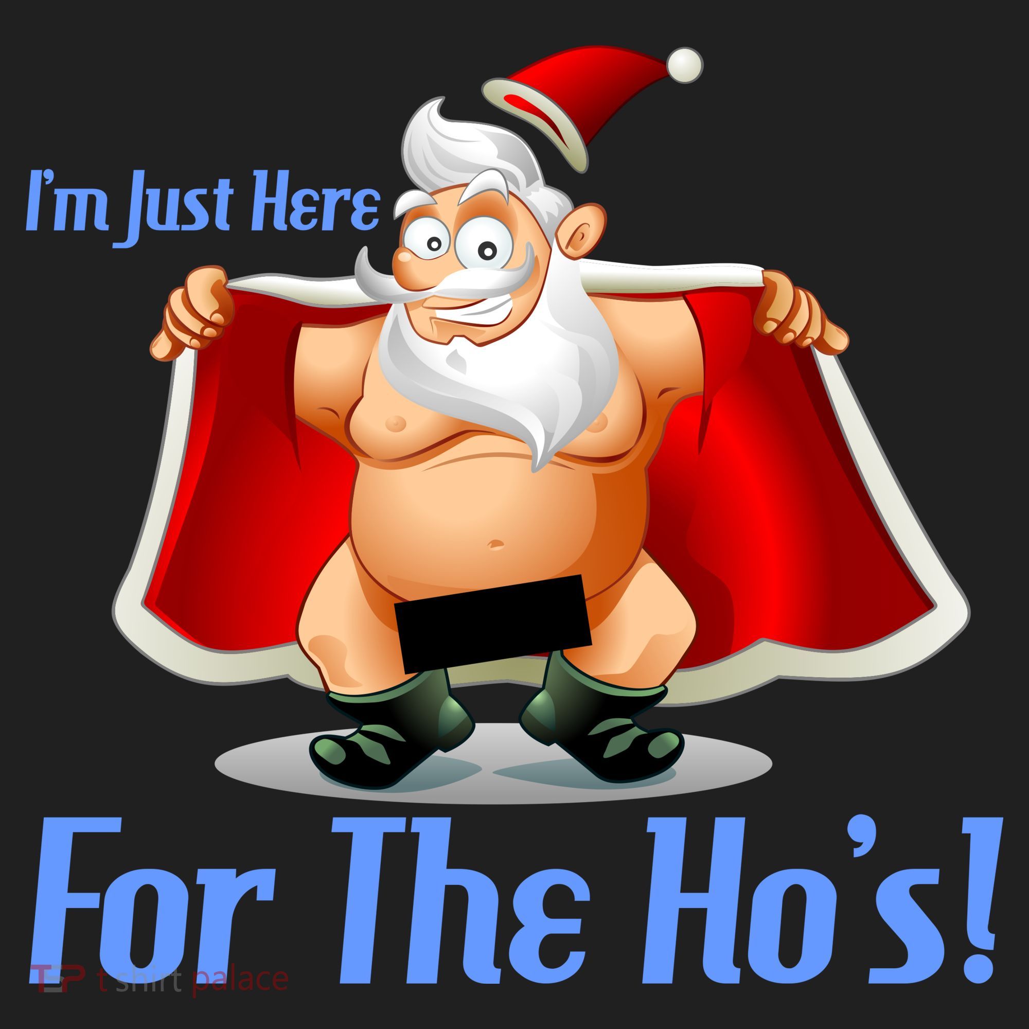 Funny Santa Nude Censored Just Here For The Ho's Beanie