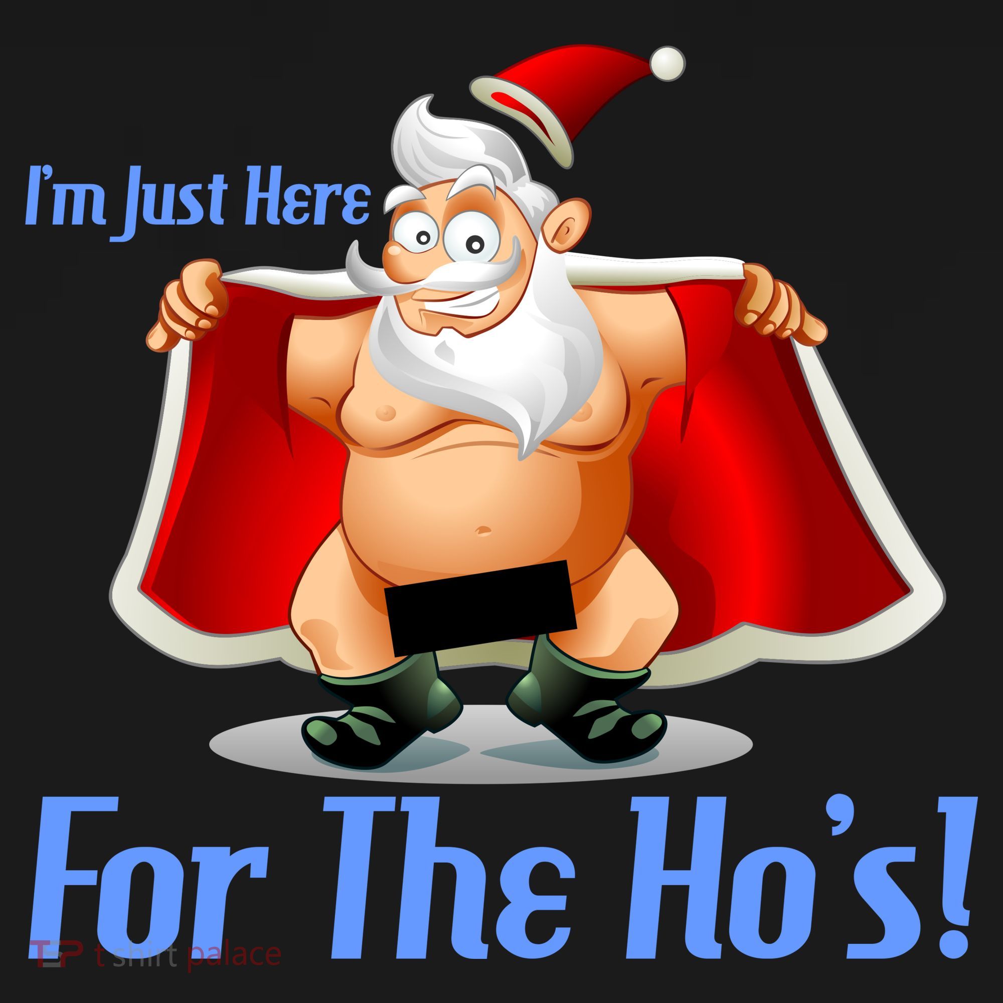 Funny Santa Nude Censored Just Here For The Ho's Women's Hoodie