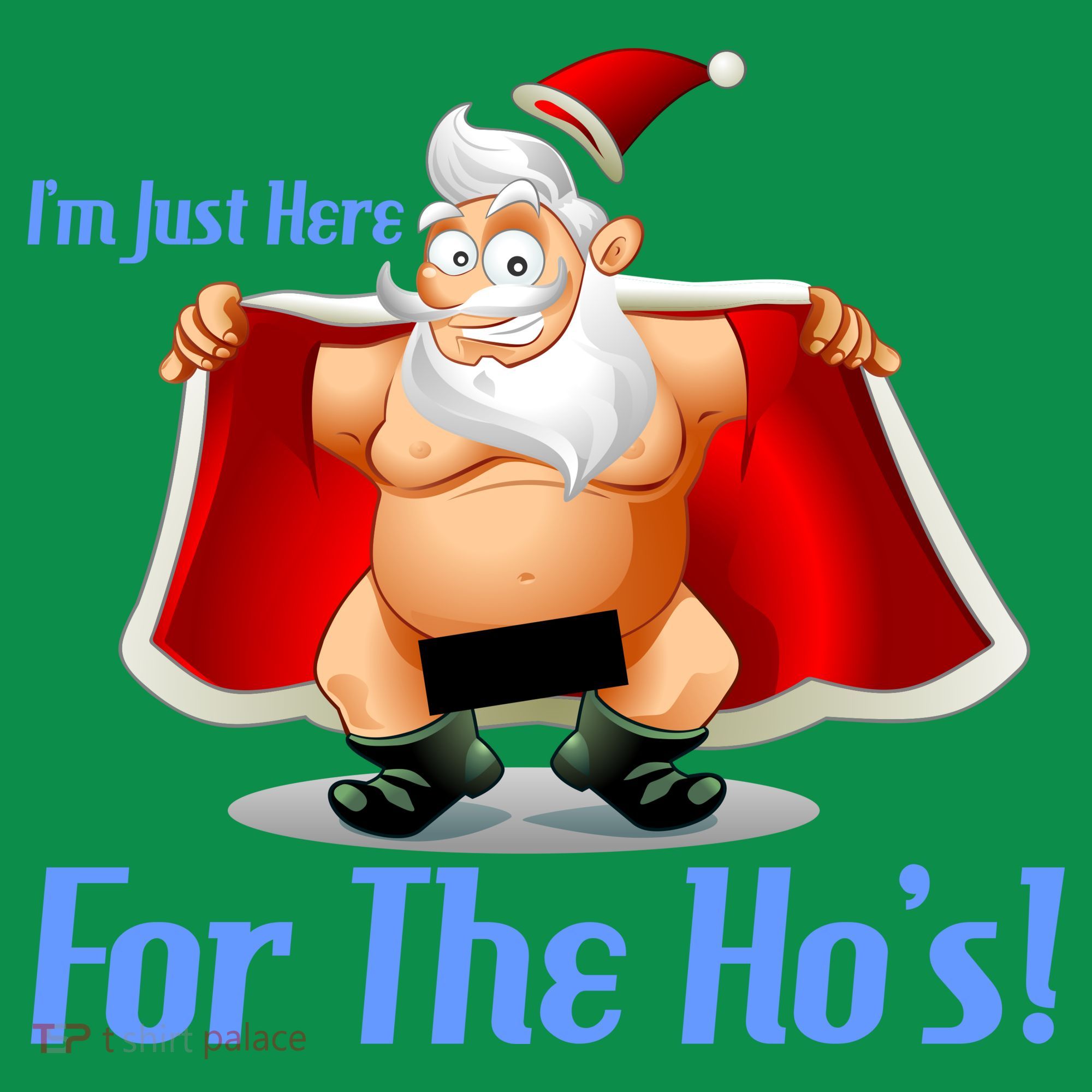 Funny Santa Nude Censored Just Here For The Ho's Women's T-Shirt