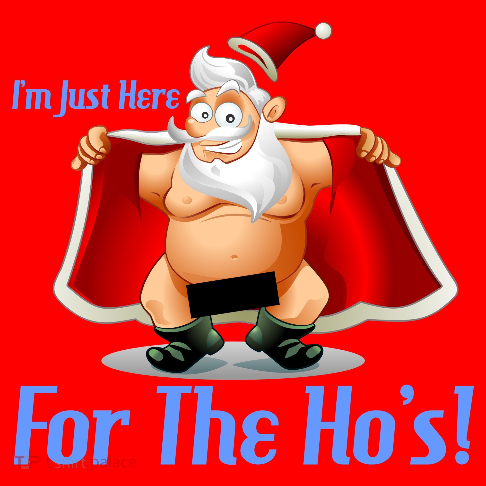 Funny Santa Nude Censored Just Here For The Ho's Santa Hat