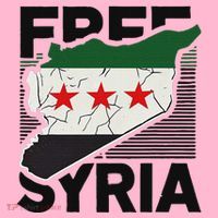 Free Syria Patriotic Syrian Flag Hoodie thumb 7