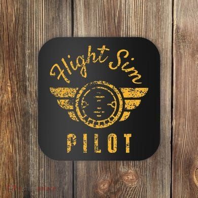 Flight Simulator Pilot Coaster
