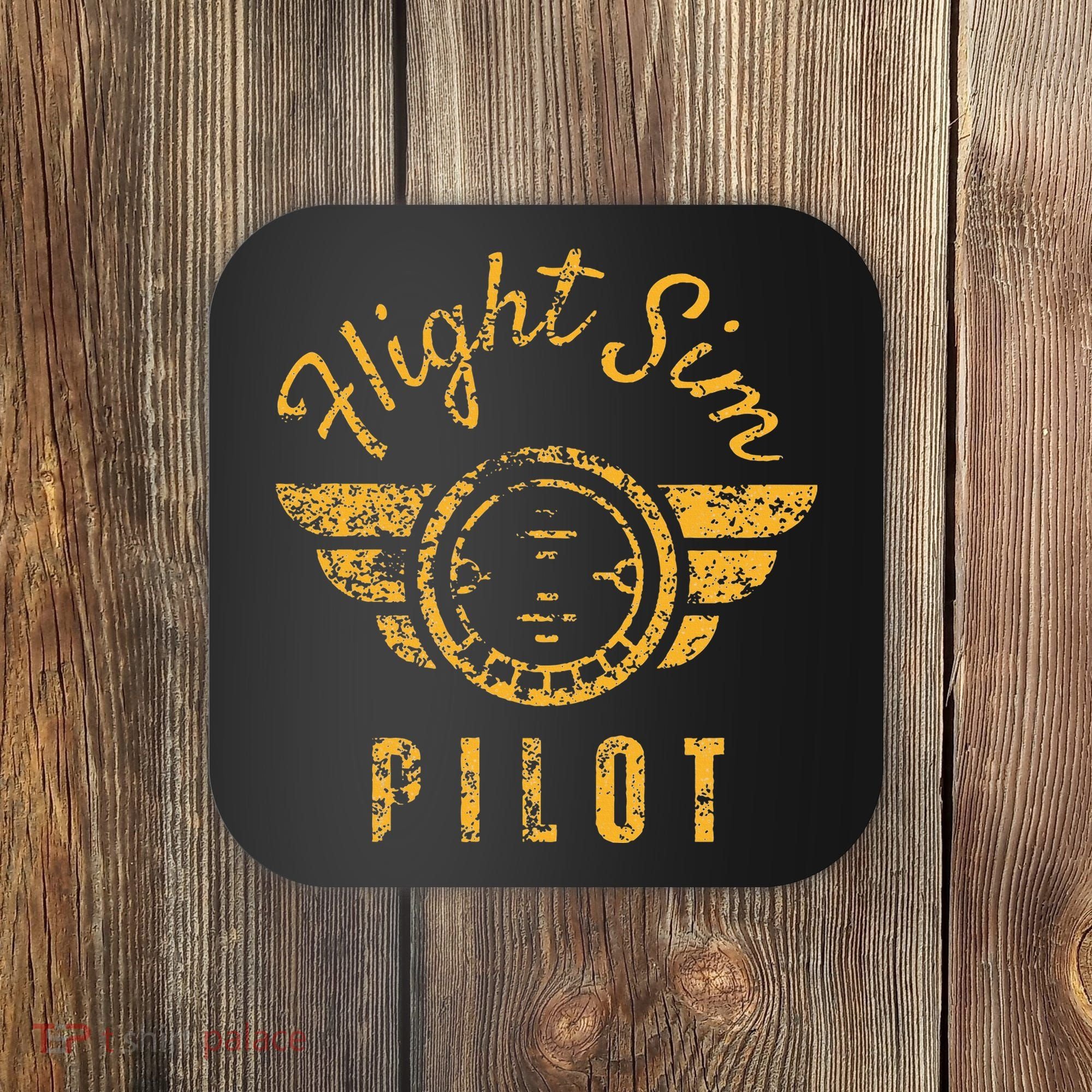 Flight Simulator Pilot Coaster