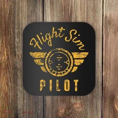 Flight Simulator Pilot Coaster