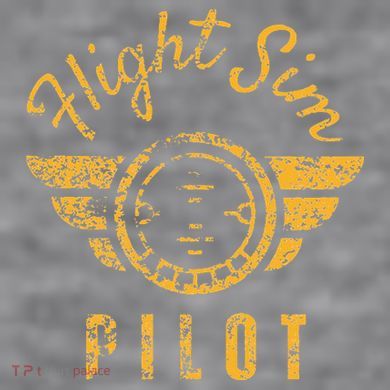 Flight Simulator Pilot Women's Racerback Cropped Tank