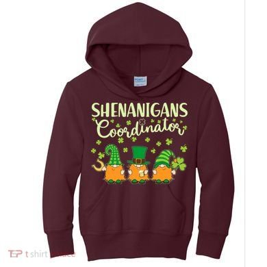 Funny St Patricks Day Shenanigans Coordinator Gnomes Kids Hoodie
