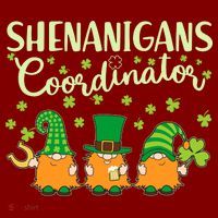 Funny St Patricks Day Shenanigans Coordinator Gnomes Kids Hoodie thumb 2