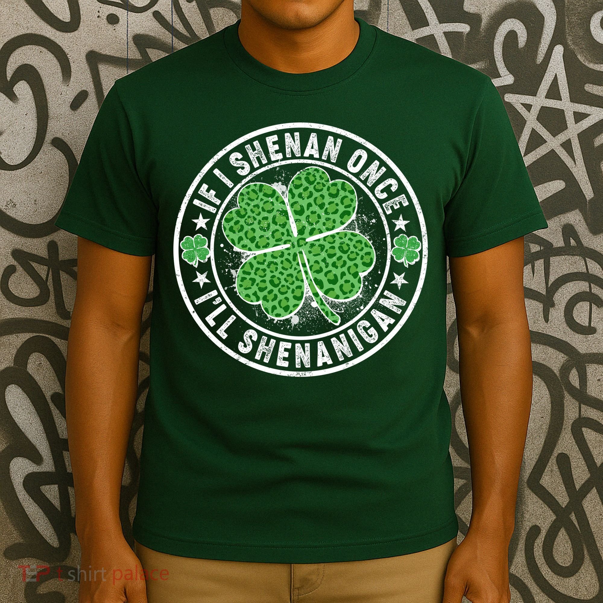 Funny St Patrick's Day I Shenan Once I'll Shenanigan  T-Shirt