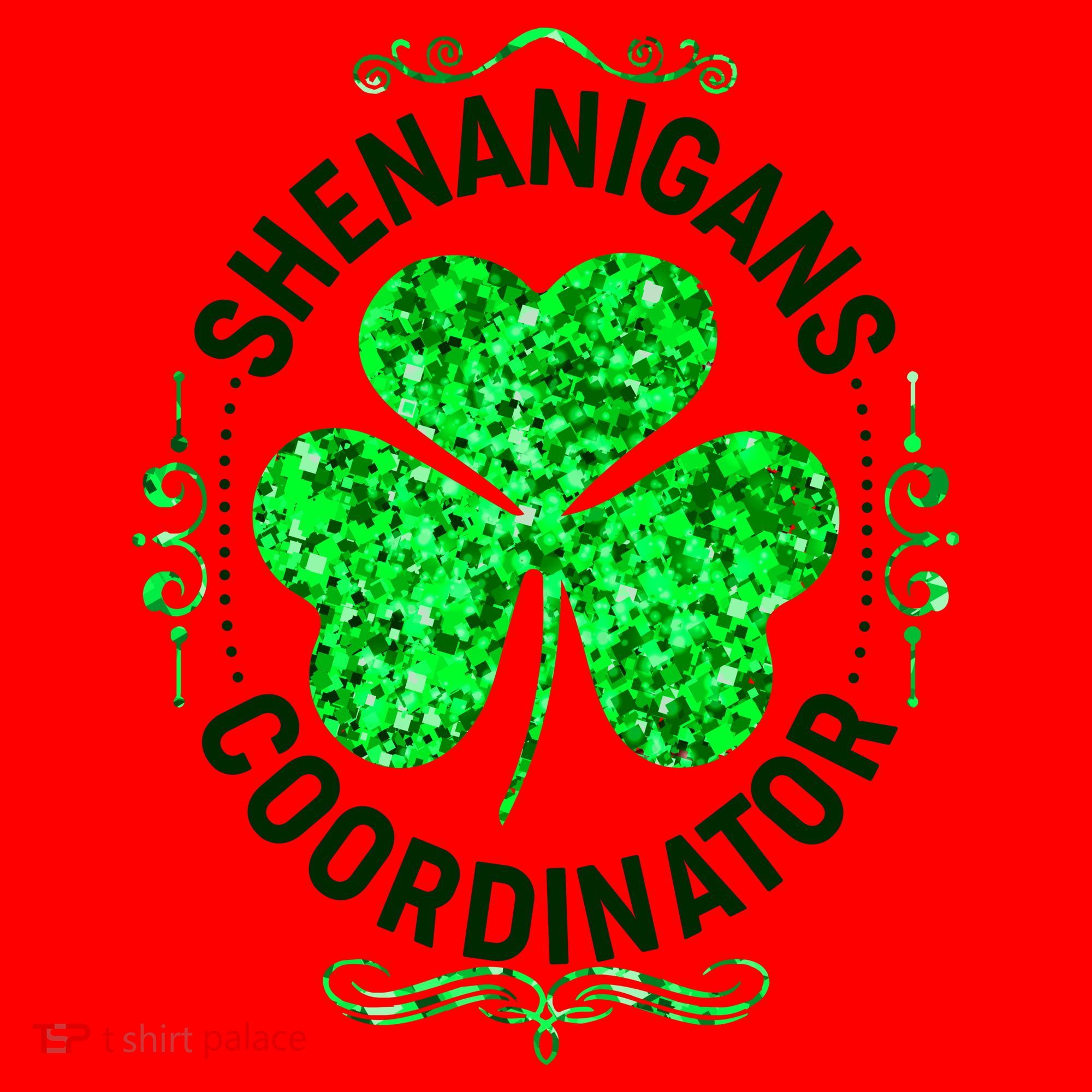 Funny St Patrick's Day Shenanigans Coordinator Lucky Shamrock Clover Santa Hat