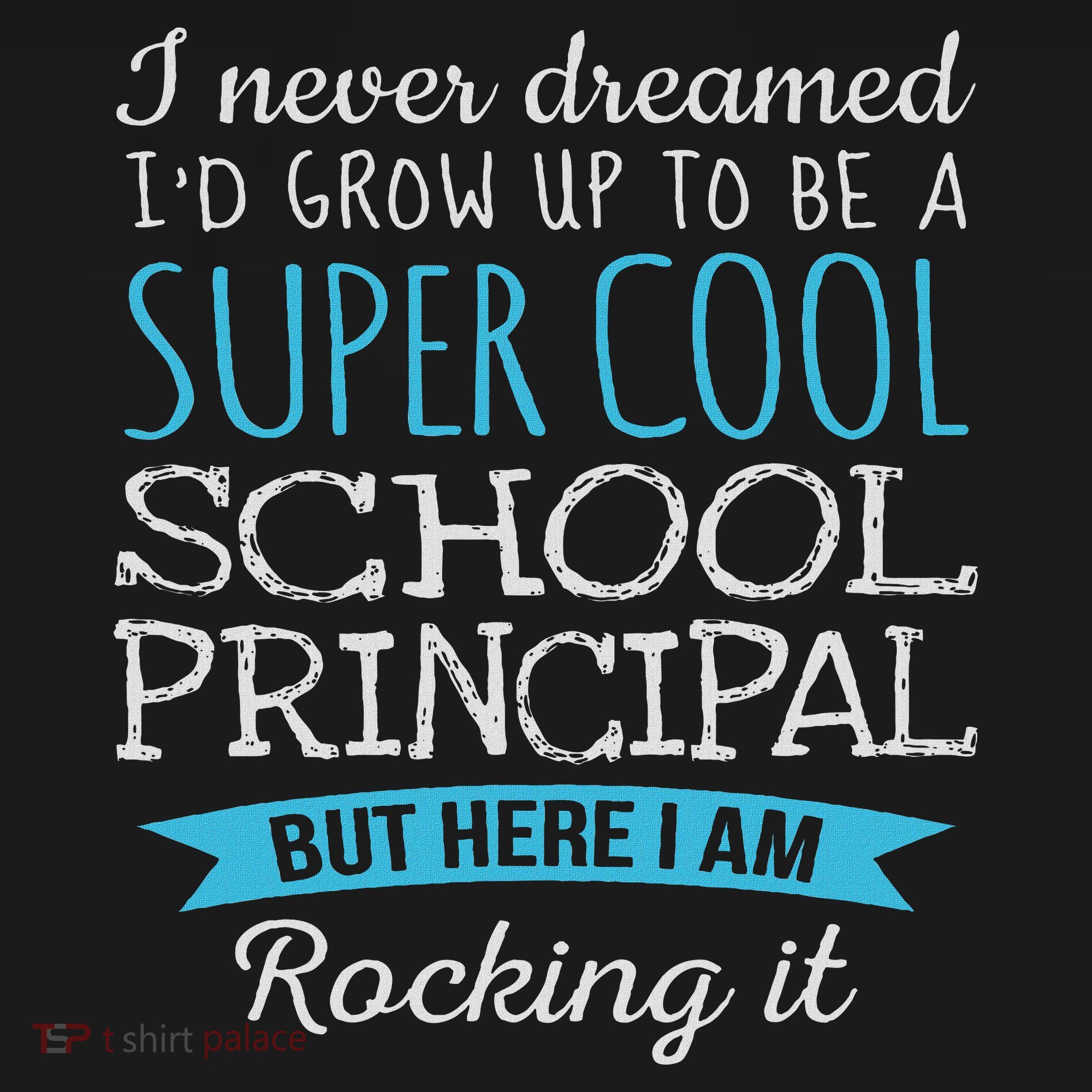 Funny School Principal Appreciation Gifts Hoodie