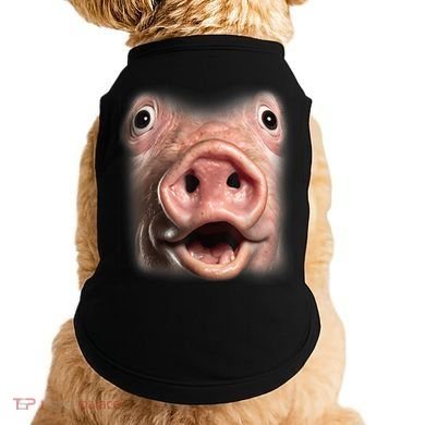 Funny Surprised Pig Face Meme Big Troll Hog Piggy Face Doggie Tank