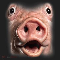Funny Surprised Pig Face Meme Big Troll Hog Piggy Face Beanie thumb 2