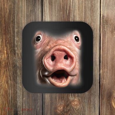 Funny Surprised Pig Face Meme Big Troll Hog Piggy Face Coaster