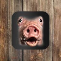 Funny Surprised Pig Face Meme Big Troll Hog Piggy Face Coaster thumb 0