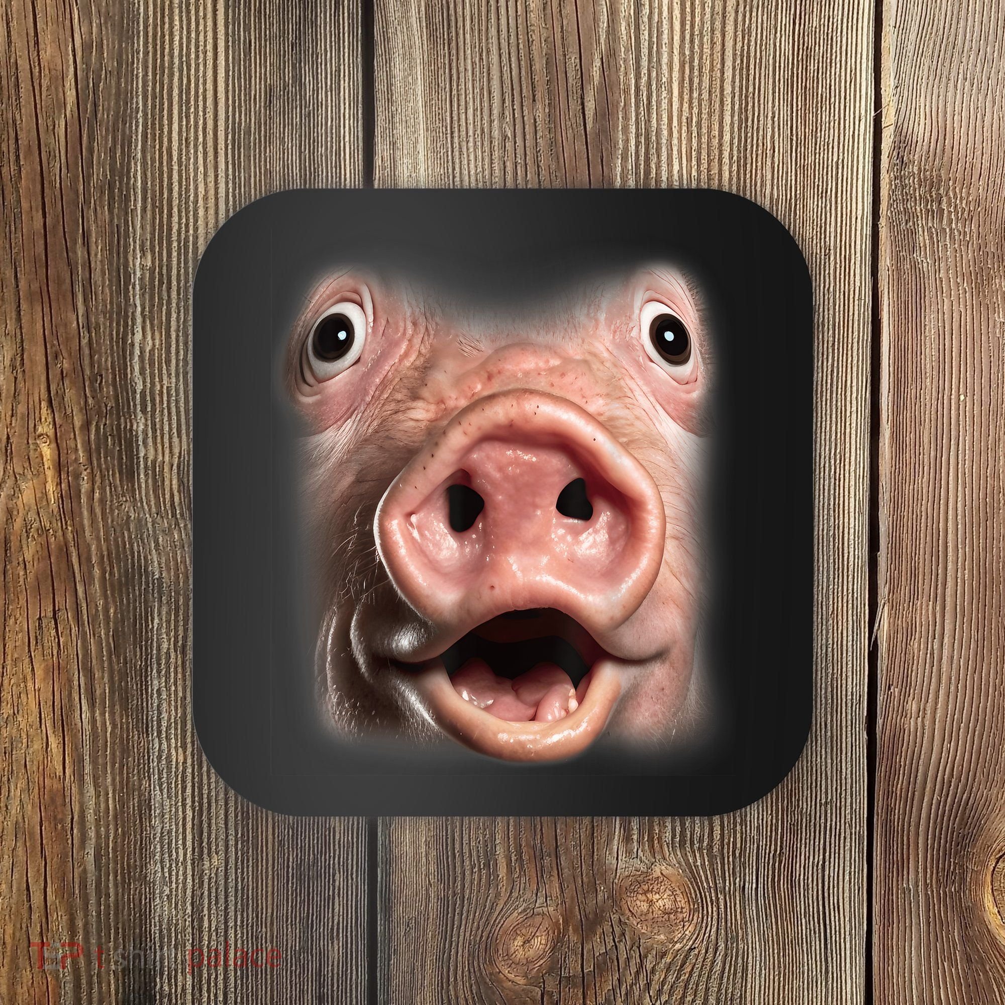Funny Surprised Pig Face Meme Big Troll Hog Piggy Face Coaster