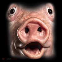 Funny Surprised Pig Face Meme Big Troll Hog Piggy Face Mousepad thumb 1