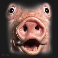Funny Surprised Pig Face Meme Big Troll Hog Piggy Face Women's T-Shirt thumb 6