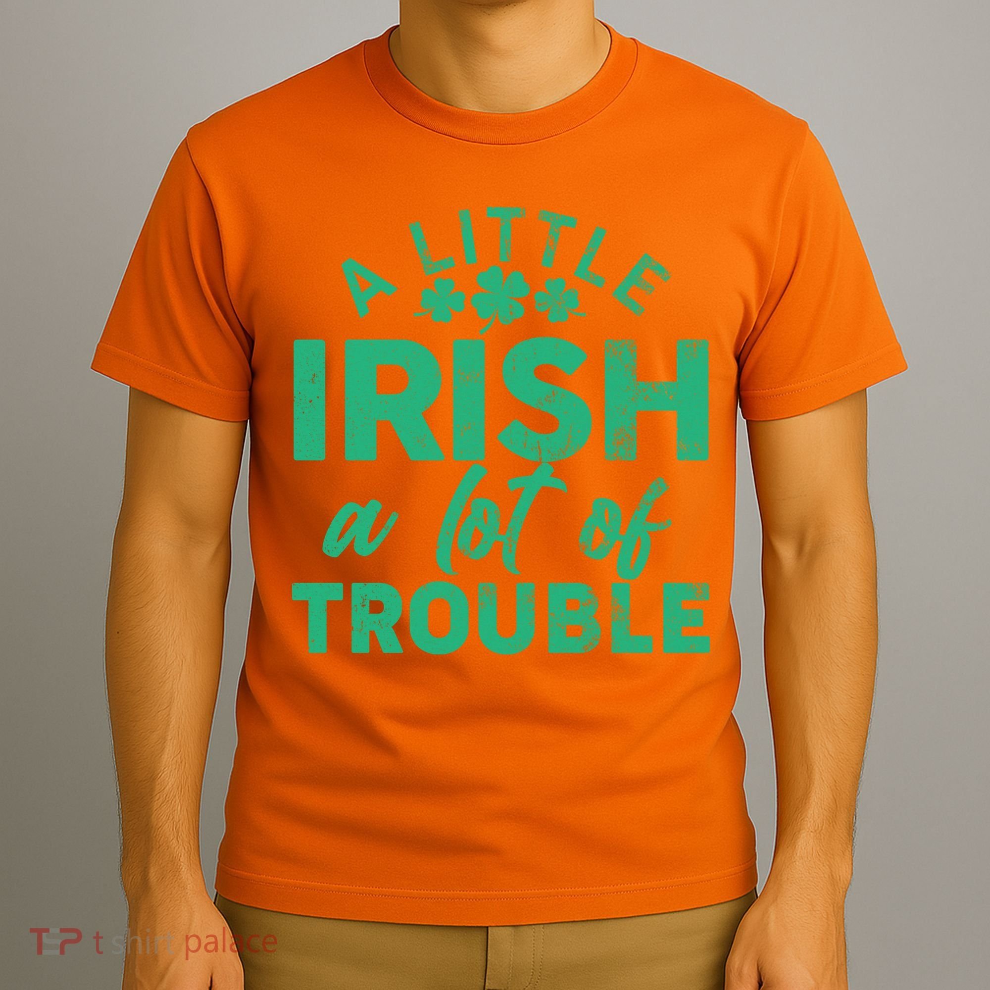 Funny St Patricks Day A Little Irish A Lot Of Trouble T-Shirt