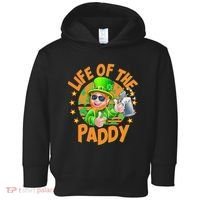 Funny St Patricks Day Life Of The Paddy Leprechaun Beer Toddler Hoodie thumb 0