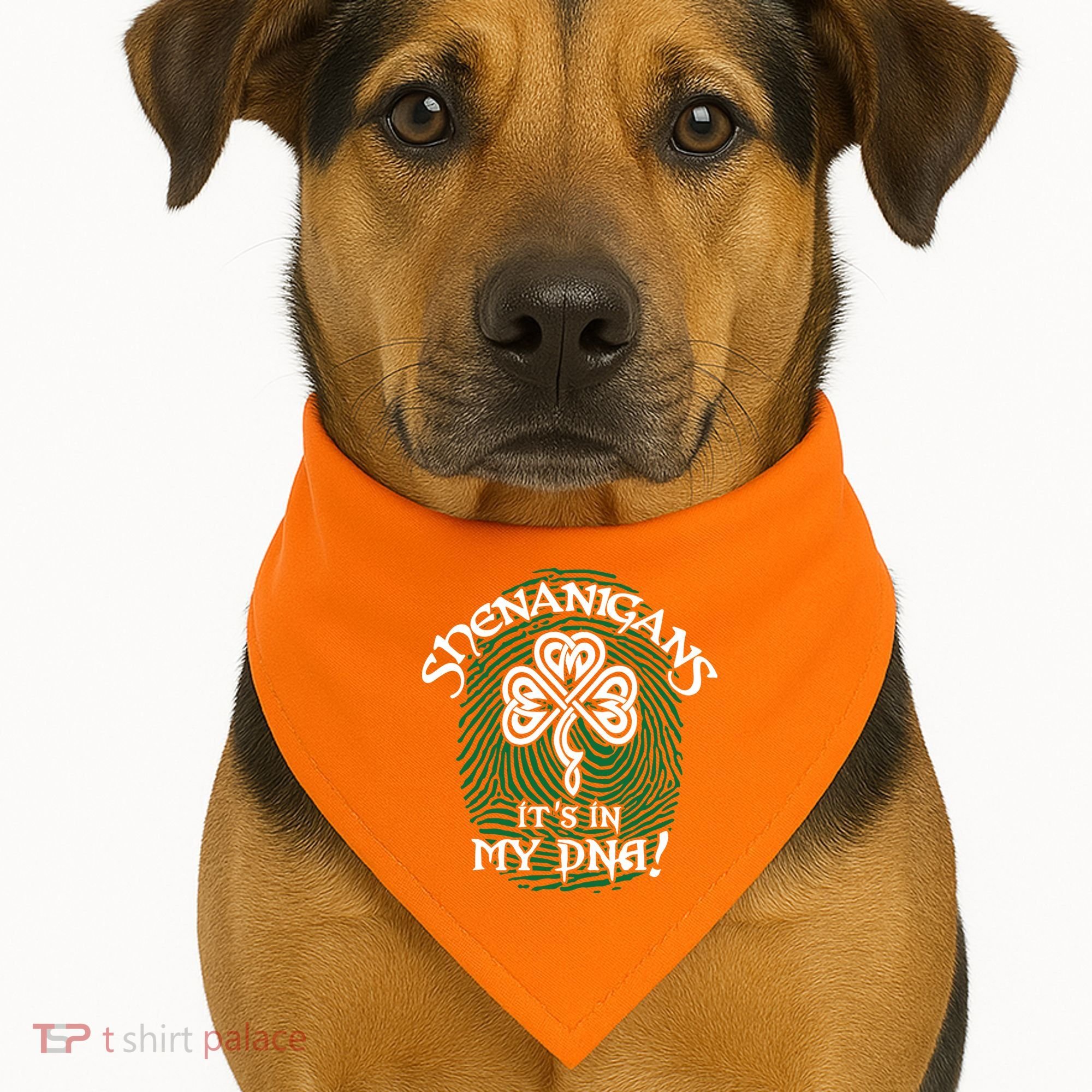 Funny St Patrick's Day Shenanigans It's In My DNA Fingerprint USA-Made Doggie Bandana