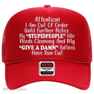Funny Stupid People Filter Hat