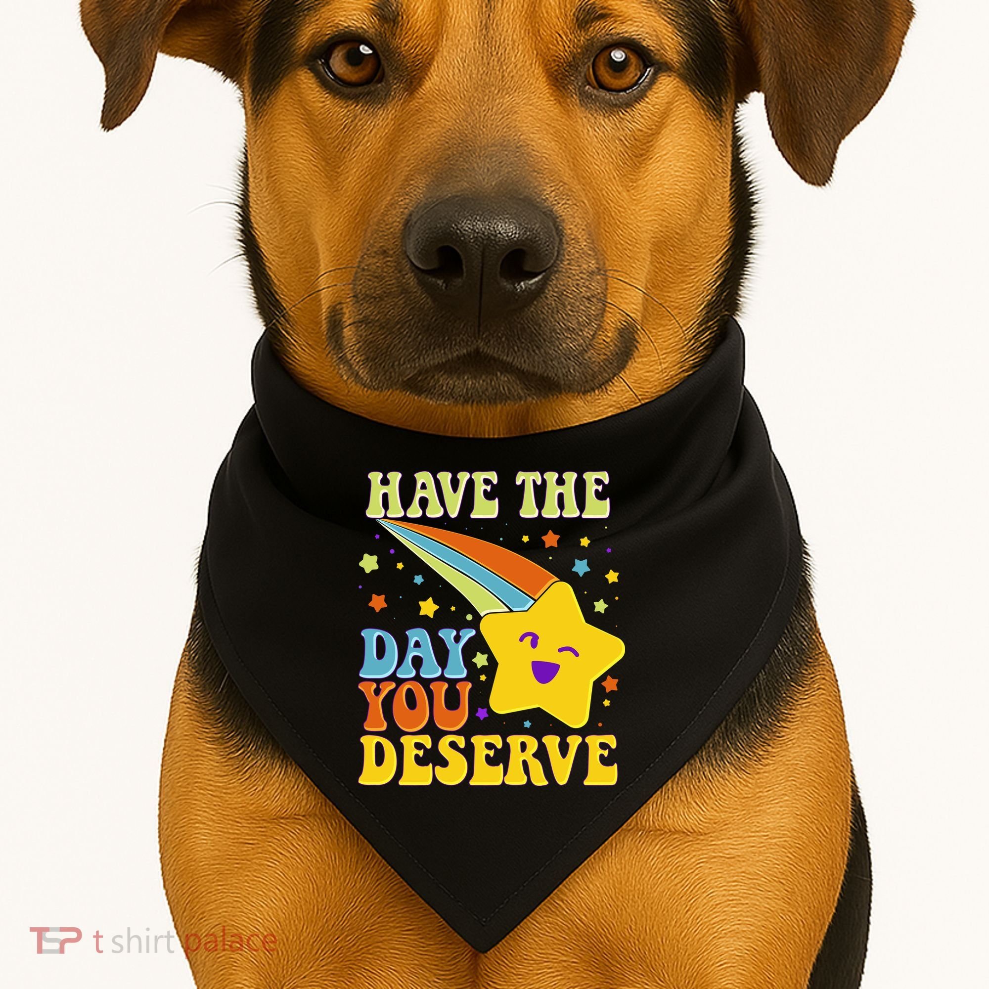 Funny Sarcastic Retro Shooting Star USA-Made Doggie Bandana