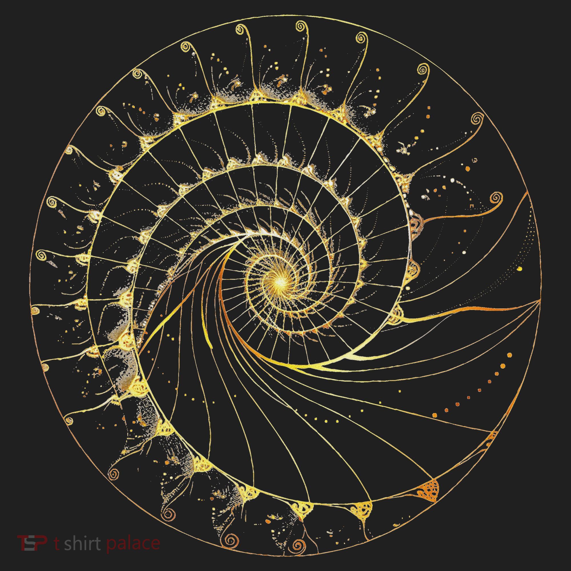 Fibonacci Spiral Ratio Mathematicians Sacred Geometry Women's Sweatshirt