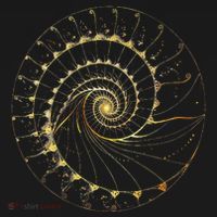 Fibonacci Spiral Ratio Mathematicians Sacred Geometry Hoodie thumb 7